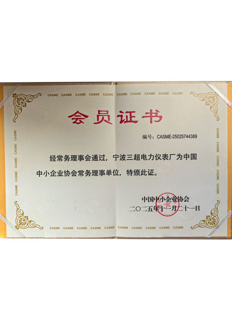 Certification of Standing Council Member Unit CASME